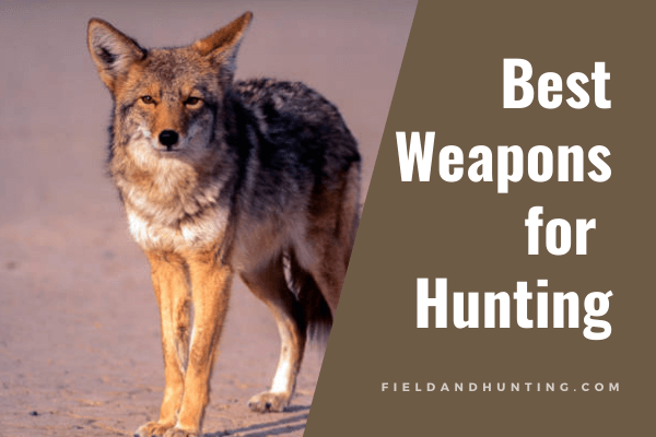 Best weapons for hunting