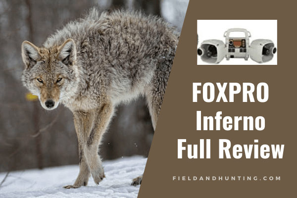 FOXPRO Inferno Review: best portable coyote call