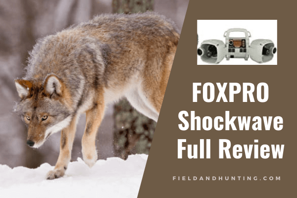 FOXPRO Shockwave review