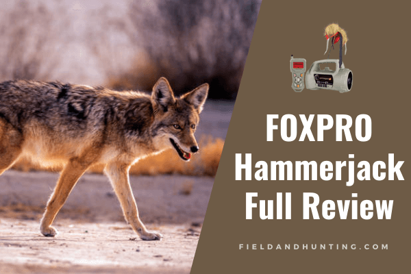 foxpro hammerjack 2 review