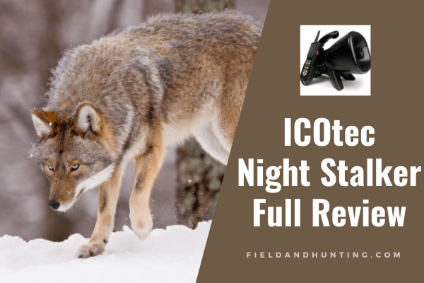 ICOtec night stalker review