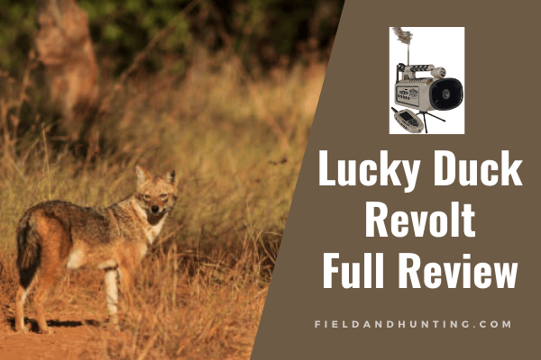 Lucky Duck Revolt Review