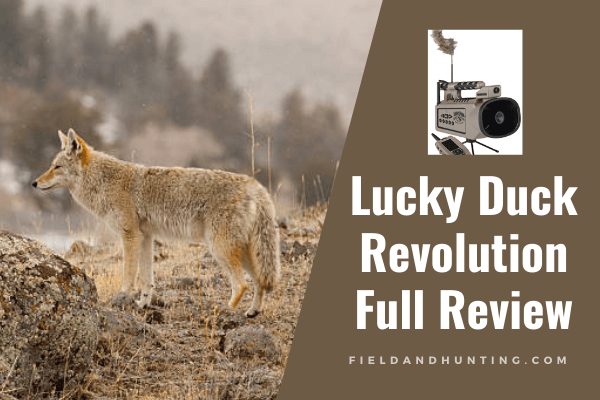 Lucky Duck Revolution review