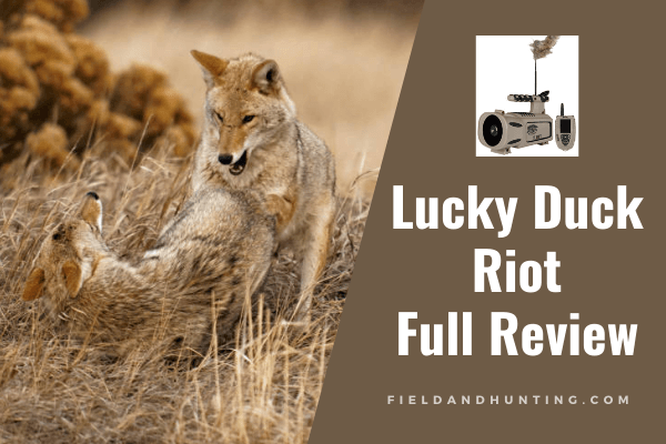 Lucky Duck Riot Review