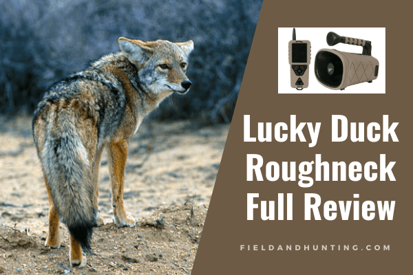 Lucky Duck Roughneck review